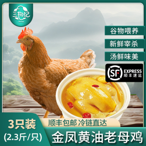 [苏鲜生推荐]三物纪 皖南金凤黄油老母鸡2.3-2.6斤/只 3只装 新鲜现杀冷冻农家慢养走地鸡