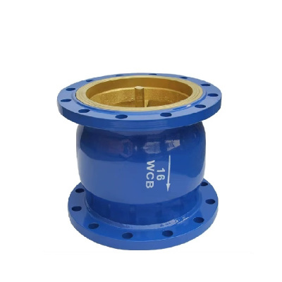 伟鹏双兴 法兰消声止回阀 DN300 台