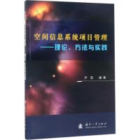 空间信息系统项目管理