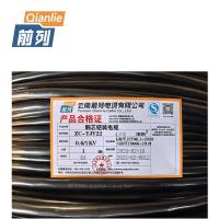 前列Qianlie 铜芯铠装电缆 ZC-YJV22-0.6/1KV-4×25mm² 米