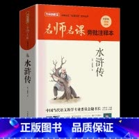 单本全册 [正版]2022山东省阅读书目九年级 水浒传 九年级课外阅读书名师名课旁批注释本方洲新概念 华语教学出版社 中