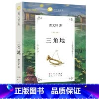 三角地 [正版] 曹文轩文集 三角地 曹文轩成长励志校园小说 青铜葵花草房子作者 7-10-14岁四五六年级小学生儿童文