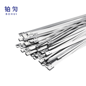 铂灳 不锈钢扎带 10*500mm 条