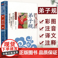 当当正版 弟子规 千字文 论语 三字经 影响孩子一生的国学启蒙经典(注音彩图版)小学生一1二2三3年级6-9岁课外阅读儿