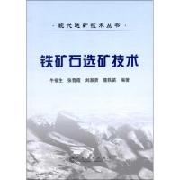 音像铁矿石选矿技术牛福生