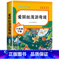 [单本]爱丽丝漫游奇境 [正版]全套4册 鲁滨逊漂流记六年级下册的课外书阅读原著完整版汤姆索亚历险记爱丽丝漫游奇境尼尔斯