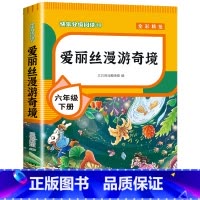 [单本]爱丽丝漫游奇境 [正版]全套4册 鲁滨逊漂流记六年级下册的课外书阅读原著完整版汤姆索亚历险记爱丽丝漫游奇境尼尔斯