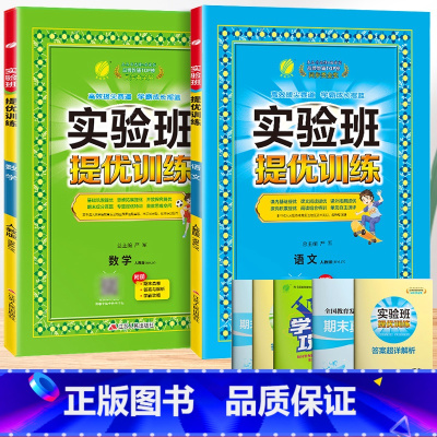 语文+数学[人教版]。 二年级下 [正版]2024春新版实验班提优训练一年级上册二年级下册三年级四五六语文数学英语全套书