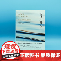 迈克尔辛格 活出不羁人生+臣服实验+清醒地活 超越自我的生命之旅 心灵成长的书 如何思考认识自己 冥想 解除痛苦 心理学