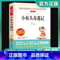 小布头奇遇记 小学通用 [正版]小布头奇遇记爱阅读名著课程化丛书青少年快乐读书吧小学生儿童一二三四五六年级上下册必课外阅