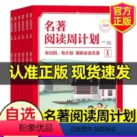快乐读书吧(下册) 小学四年级 [正版]1-6年级名著阅读周计划快乐读书吧7-12岁小学生一 二 三 四 五 六 年级有