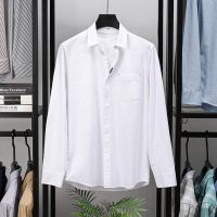 100%纯棉男士衬衫水洗津纺秋季新款真口袋翻领长袖衬衣男