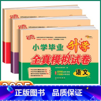 [3本]语文+数学+英语 小学升初中 [正版]2025新版 68所小学毕业升学全真模拟试卷小升初五年级六年级语文数学英语