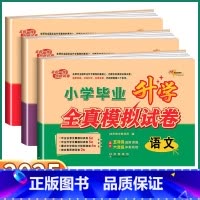 [3本]语文+数学+英语 小学升初中 [正版]2025新版 68所小学毕业升学全真模拟试卷小升初五年级六年级语文数学英语