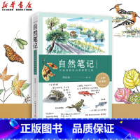 自然笔记 [正版]自然笔记(开启奇妙的自然探索之旅全新增订版)芮东莉 原创自然笔记开山之作第九文津图书奖届自然教育科普知