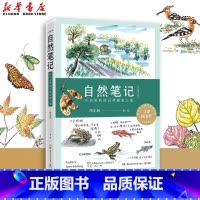 自然笔记 [正版]自然笔记(开启奇妙的自然探索之旅全新增订版)芮东莉 原创自然笔记开山之作第九文津图书奖届自然教育科普知