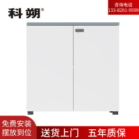 科朔 文件柜矮柜两门柜资料柜木质办公室文件柜KS-09F0807