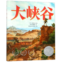 音像大峡谷(精)(美)陈振盼|译者:邱亮//田丽贤