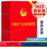 [正版]10册 2023年7月团章版64开口袋本 中国共产主义青年团章程团委团员团的组织制度经费团旗团徽团员证书籍