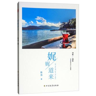 正版新书]娓娓道来陈伟9787531741633