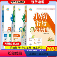 [3本]语文+数学+英语 小学升初中 [正版]2024 一起同学 小升初数学英语9周集训语文6周集训 小学5-6年级全国