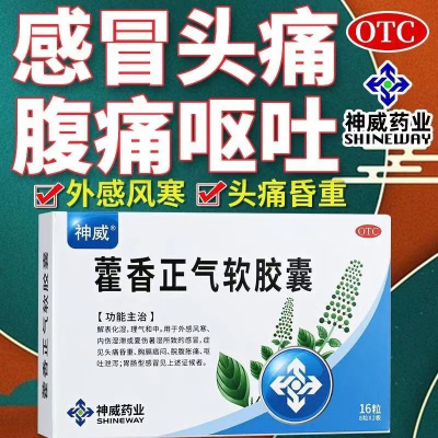 [1盒装 尝试装]神威 藿香正气软胶囊 16粒 防暑 中暑 止呕 止泻 肠胃不适 拉肚子药 腹泻 祛湿化湿