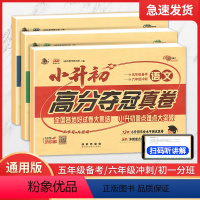 [3套]语文+数学+英语 小学升初中 [正版]2024新版小升初高分夺冠真卷语文数学英语真题试卷必刷题人教版小学六年级毕