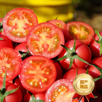 [西沛生鲜]新鲜千禧小番茄 净重2.8斤 现摘番茄水果自然熟孕妇蔬菜西红柿
