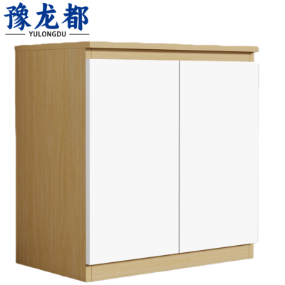 豫龙都 办公柜 80*40*80cm 个