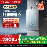 史密斯佳尼特[小精钢TCS5]16升精钢燃气热水器 国家补贴 JSQ31-TCS5 安全守护 持久恒温大水量 新品