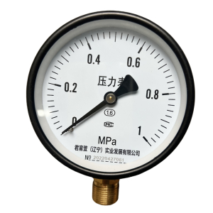 DXP 压力表(0-1)Mpa 块