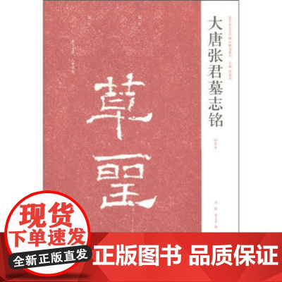 正版 中国历代名碑名帖精选系列-大唐张君墓志铭 周俊杰 河南美术