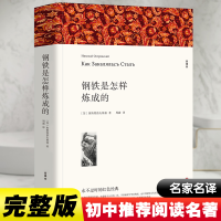 醉染图书钢铁是怎样练成的 全译本平装版9787519004729