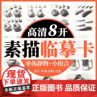 8开素描静物临摹卡高清 单体静物简单组合创意结构素描临摹卡作品儿童素描画册临摹本基础美术书籍国美高考教程素描书入门教材