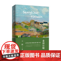 桑田日暖 王棵 著 小说 中信