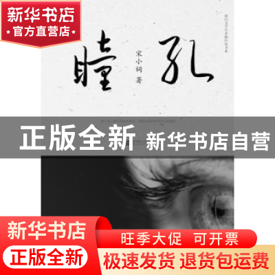 正版 瞳孔 宋小词 江苏凤凰文艺出版社 9787539995113 书籍