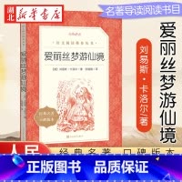 爱丽丝梦游仙境 [正版]爱丽丝梦游仙境 三四五年级课外书经典书目语文阅读丛书书小学生课外阅读书籍名著小说漫游奇境记