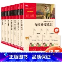 六年级上下册套装(7册) [正版]鲁滨逊漂流记原著完整版小学生版汤姆索亚历险记快乐读书吧六年级下册必读的课外书爱丽丝梦游