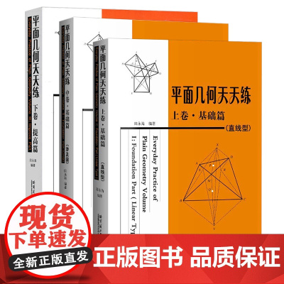 全套3本 平面几何天天练上卷基础篇(直线型)+中卷基础篇(涉及圆)+下卷提高篇 初高中平面几何教辅 田永海哈尔滨工业大学