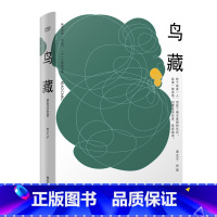 [正版]鸟藏 老王子作品集 ONE 一个 都市中产 精神家园 中国文学 果麦图书