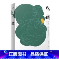 [正版]鸟藏 老王子作品集 ONE 一个 都市中产 精神家园 中国文学 果麦图书