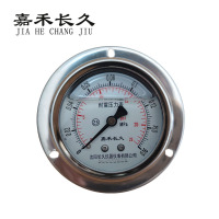 嘉禾长久 耐震压力表轴向带边检测型 YTN60ZT 块