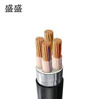 盛盛 铜芯铠装电缆 YJV22 4*6 米