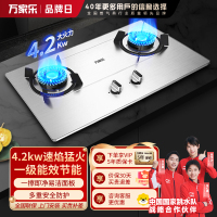 万家乐燃气灶 4.2kw大火力天然气灶 台嵌两用燃气灶 一级能效 家用不锈钢天然气灶具KA0314.2kw不锈钢-天然气