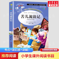 醉染图书苦儿流浪记9787533041762