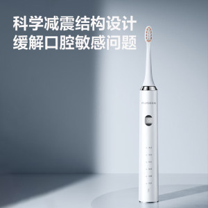 飞科(FLYCO)电动牙刷成人全自动智能声波软毛护龈深层清洁情侣送男女朋友生日节日礼物 FT7205