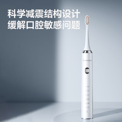 飞科(FLYCO)电动牙刷成人全自动智能声波软毛护龈深层清洁情侣送男女朋友生日节日礼物 FT7205