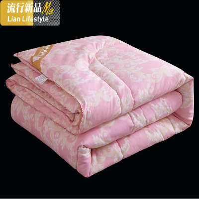 四季被子春秋被空调被夏被夏天夏凉被保暖丝棉被芯春季学生被双人 三维工匠