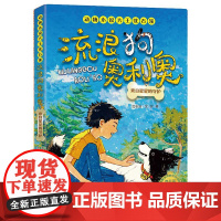 流浪狗奥利奥(来自星星的守护)/动物小说大王沈石溪 三四五六年级小学生课外阅读书籍儿童文学读物暑假必读经典书目正版