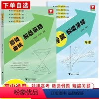 圆锥曲线+导数解题策略共2册 高中通用 [正版]高中数学解题策略圆锥曲线导数 张蕴禄 甘大旺浙大优学 解题方法技巧秘诀高